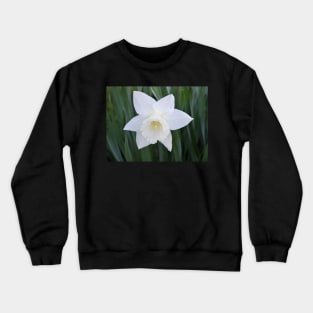 Purely White Crewneck Sweatshirt